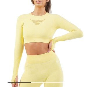 NWT AYBL Motion Seamless Long Sleeve Crop - L